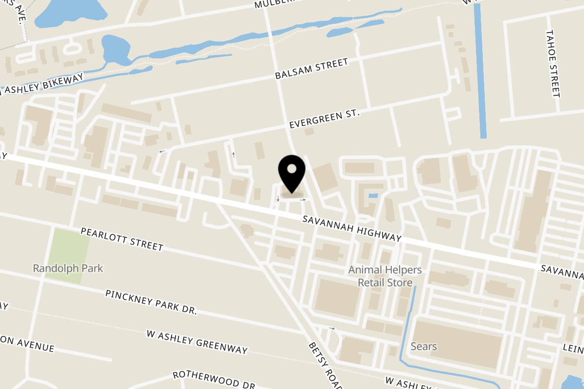 Map showing the location of Bessinger's BBQ on 1602 Savannah Hwy in Charleston